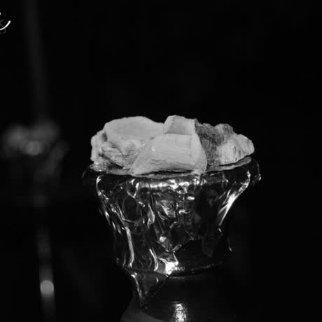 نخلة